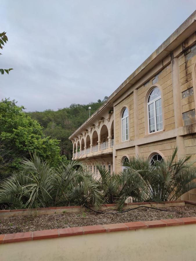 Joli Studio Du Vallespir Amélie-les-Bains-Palalda المظهر الخارجي الصورة